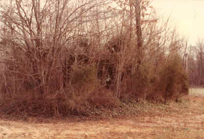 Mill05.JPG (579162 bytes)