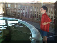 new pics0019.jpg (199665 bytes)