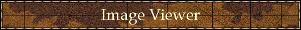 Image Viewer