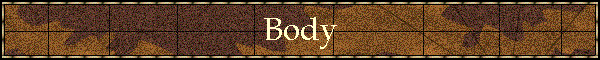 Body
