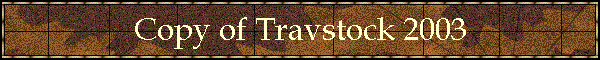 Copy of Travstock 2003