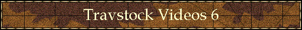 Travstock Videos 6