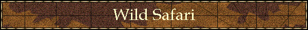 Wild Safari